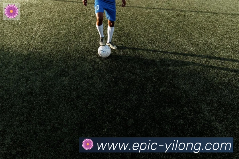战术分析频道